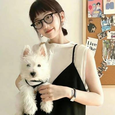 安妮·雪莉海报