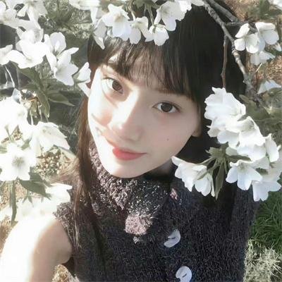 黄金缘海报